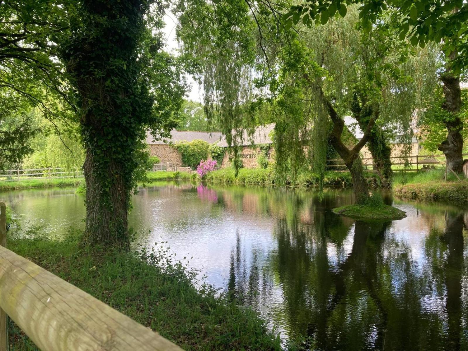 La Demeure Romantique Bazouges-sous-Hede Экстерьер фото