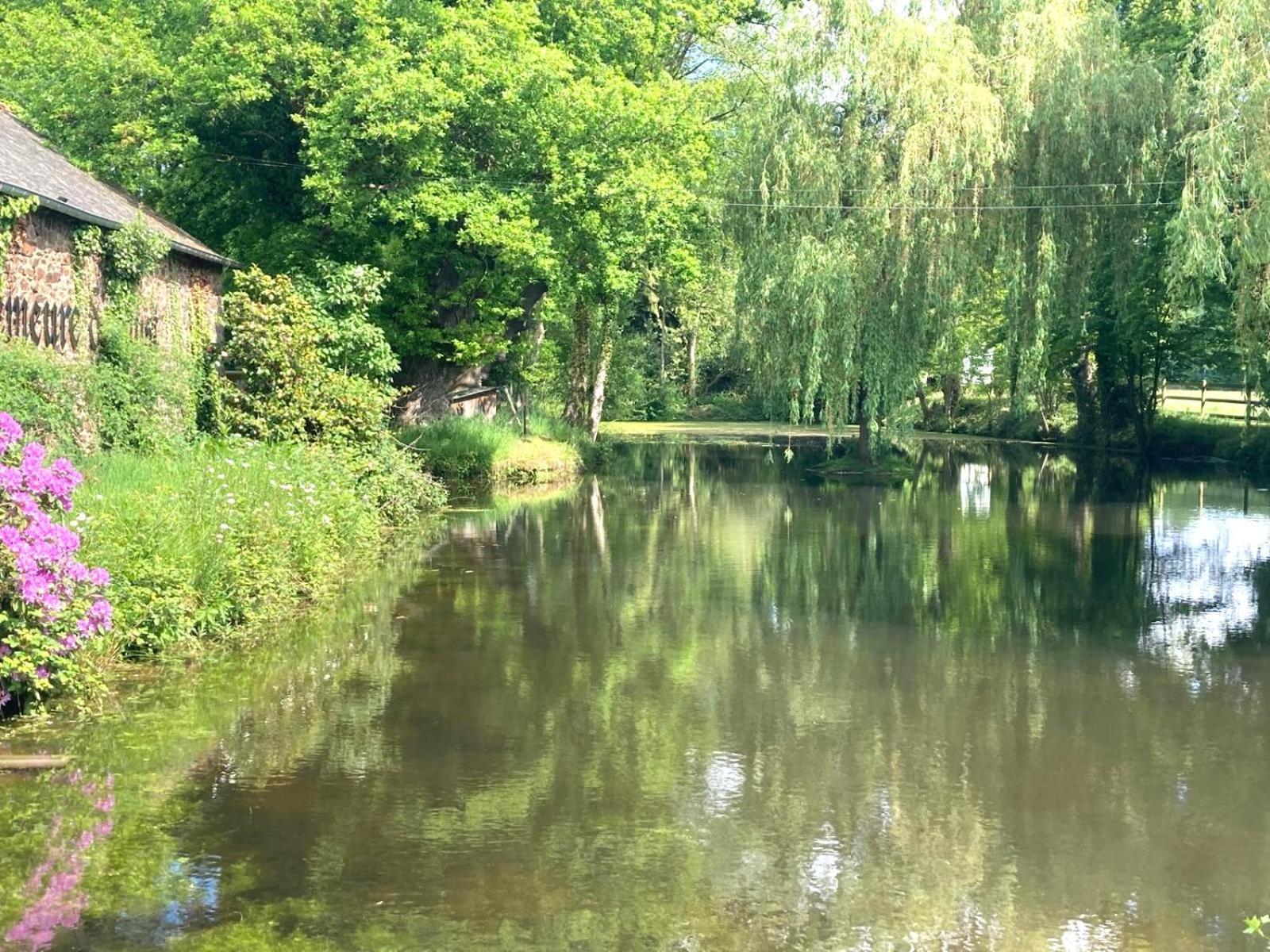 La Demeure Romantique Bazouges-sous-Hede Экстерьер фото